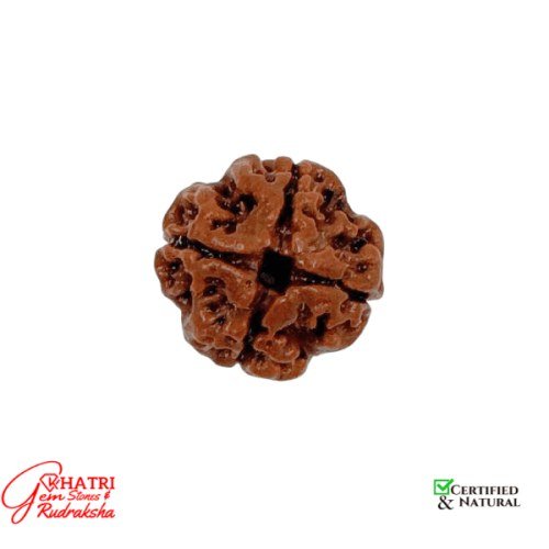 4 Mukhi Rudraksha