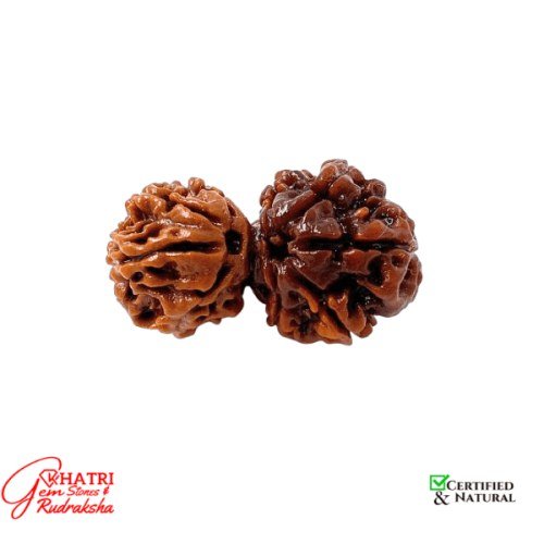 Gauri Shankar Rudraksha