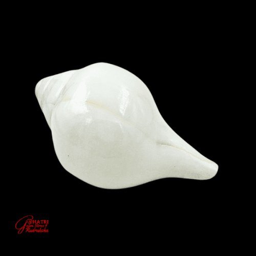 BLOWING SHANKHA (MEDIUM)