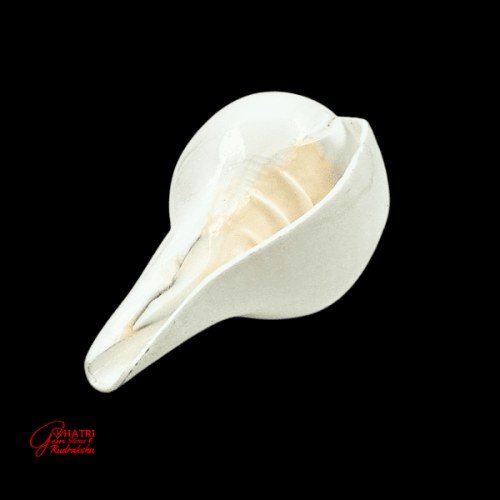 BLOWING SHANKHA (MEDIUM) — view 2