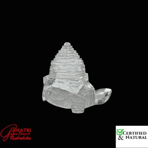 test — view 2