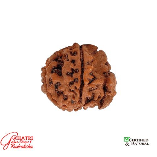 Shri Ganesh Rudraksha — view 2